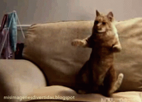 metroecycle.gif