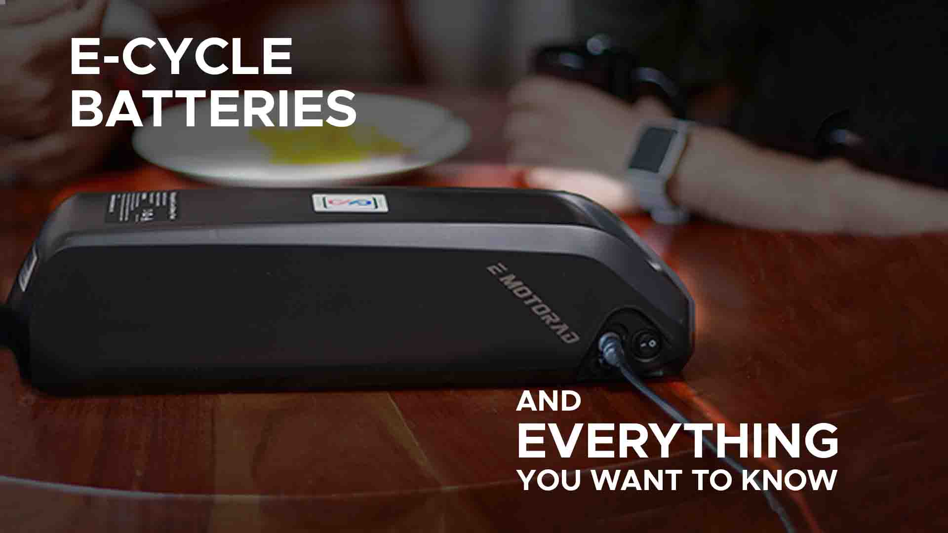 Complete E-Cycle Battery Guide, Everything You Need to Know About Electric Cycle Batteries