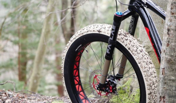 Fat Bike Fork.jpg