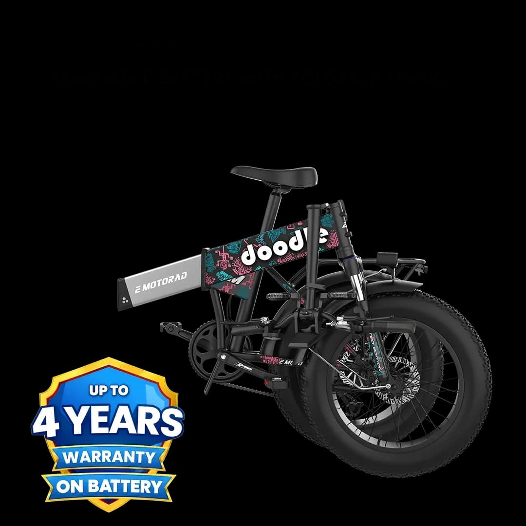 EMotorad Doodle Pro in Native Pop