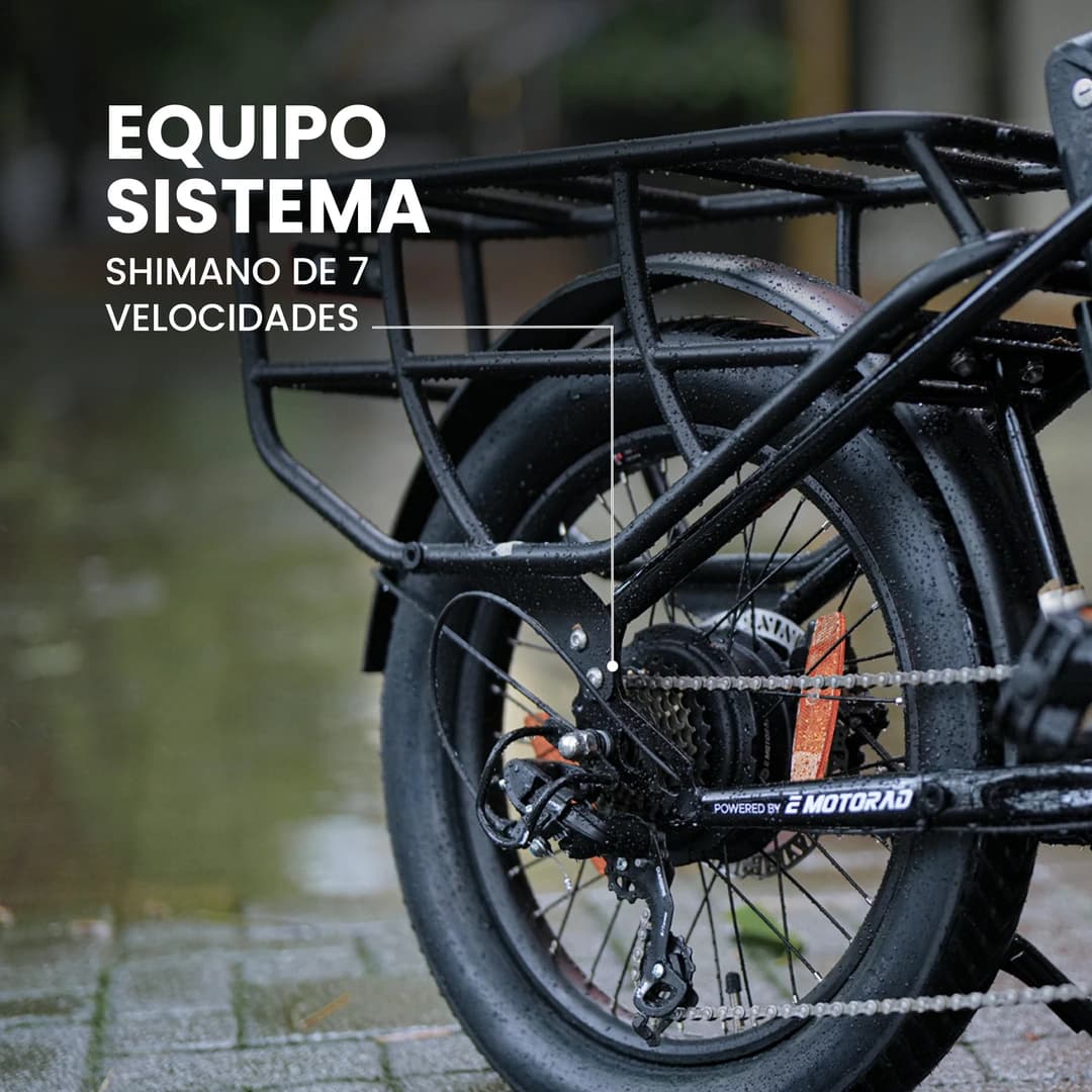 EMotorad G1 Cargo en color Black